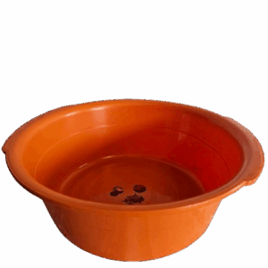 Plastic Basin  22''